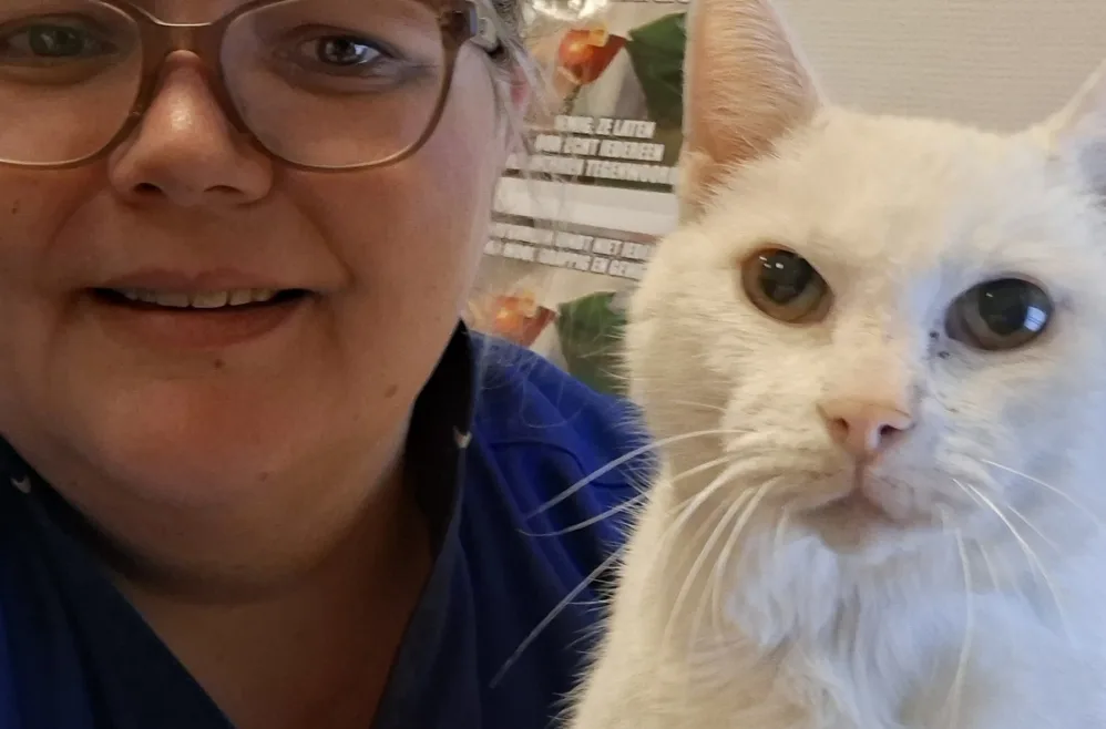 Gezelligheid van Govert de kat
