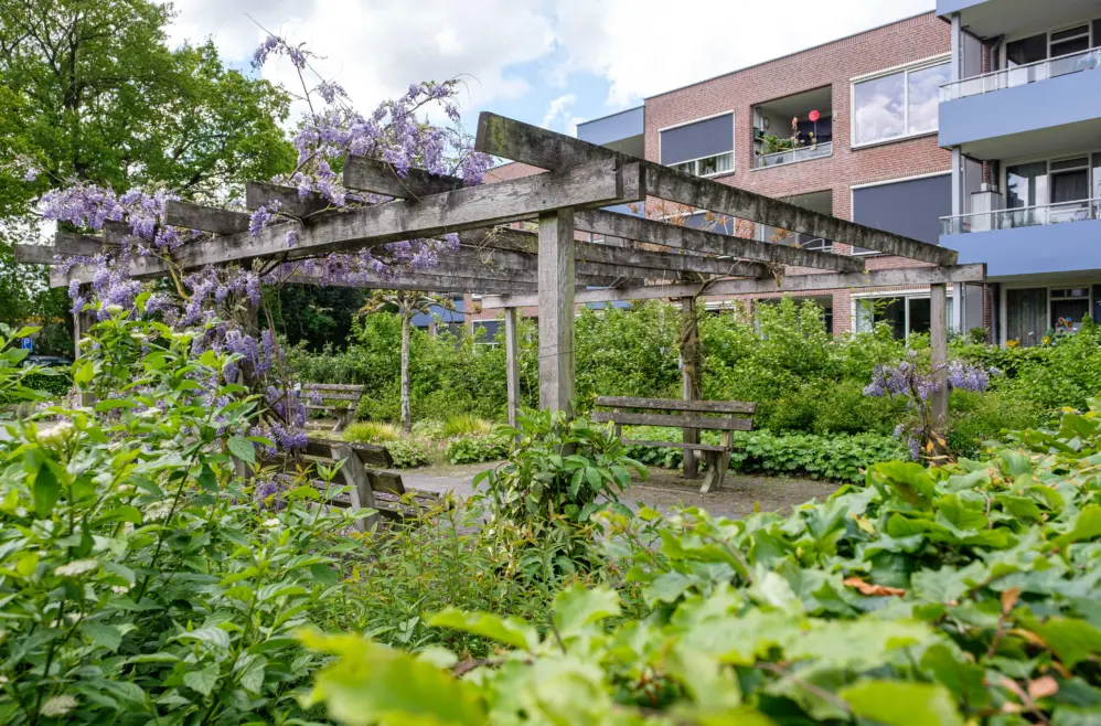 Tuin