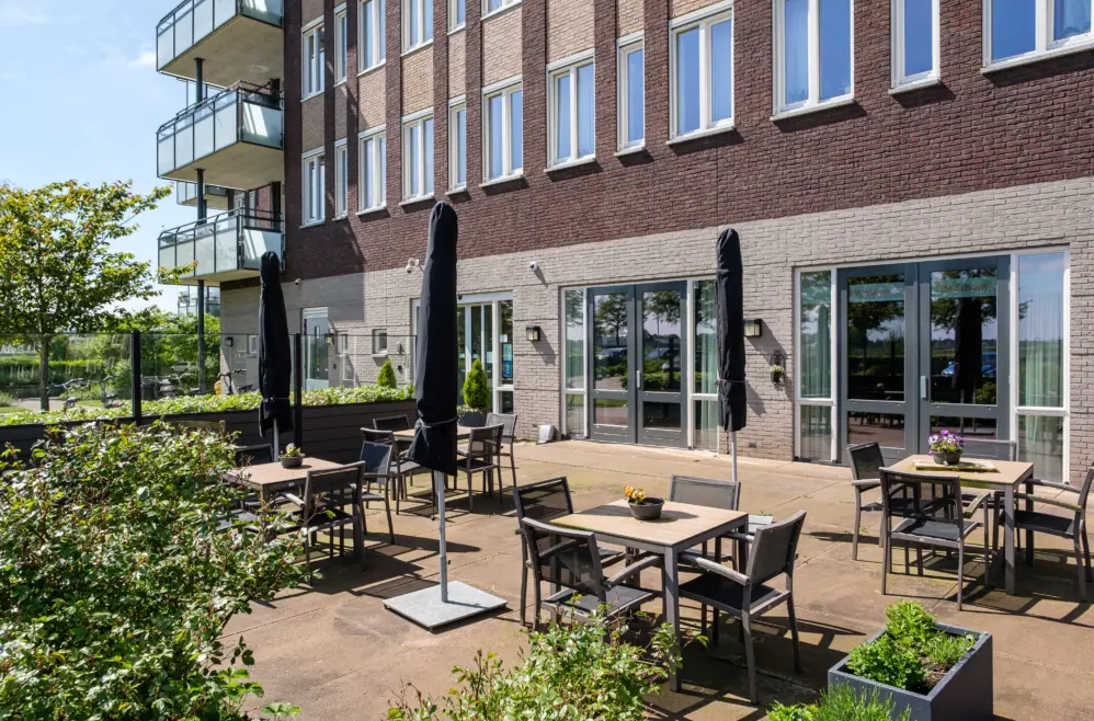 Terras